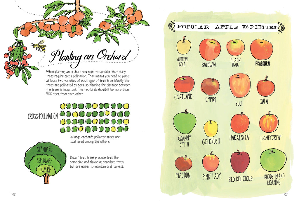 Farm Anatomy: Trade Paperback