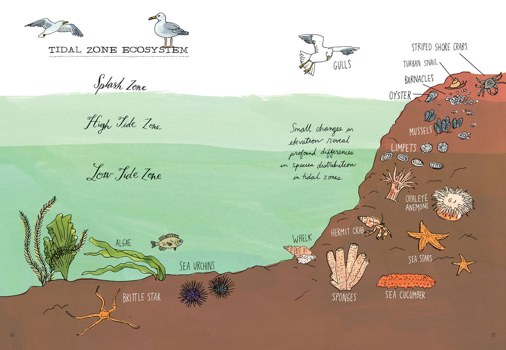 Ocean Anatomy: The Curious Parts & Pieces: Trade Paperback