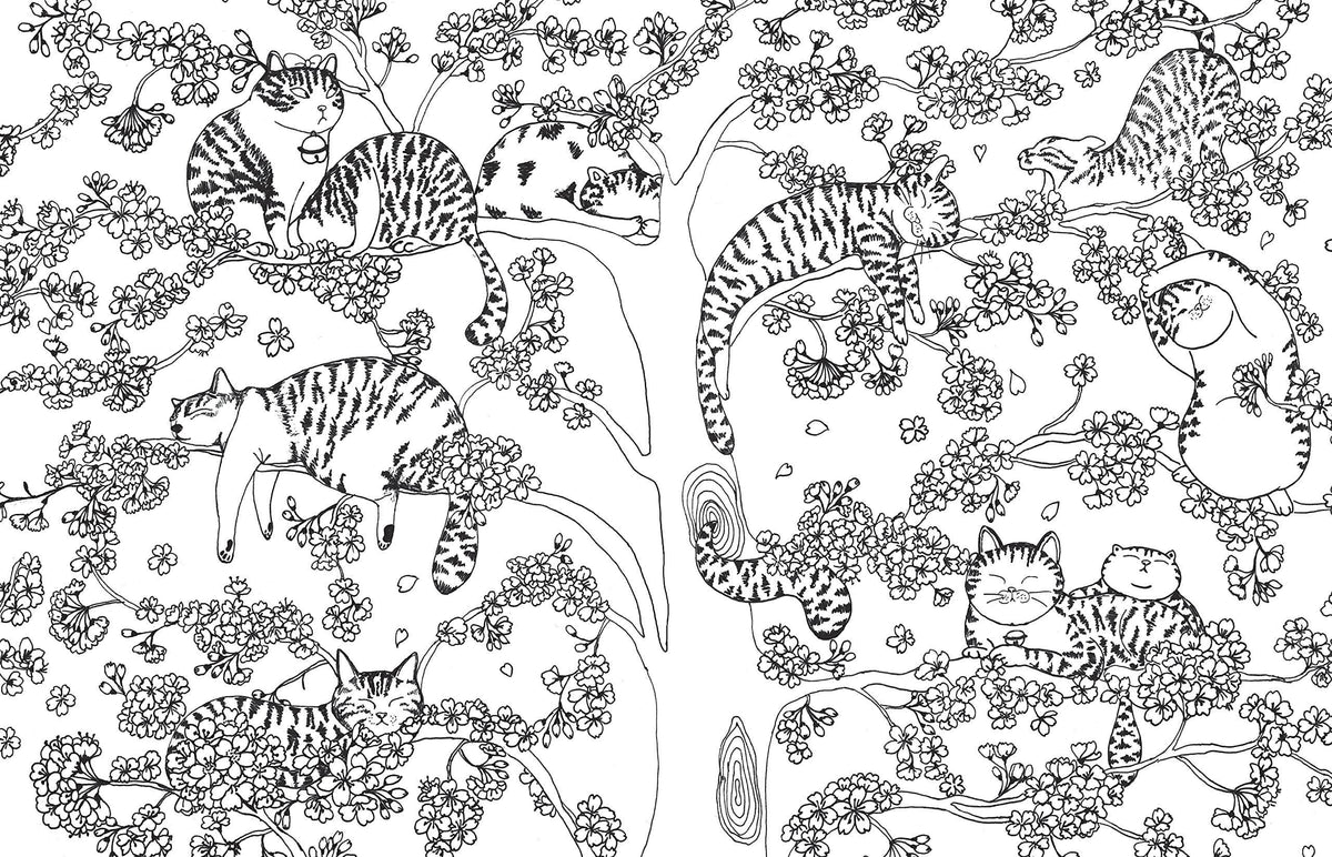 A Million Cats Coloring Book: Trade Paperback
