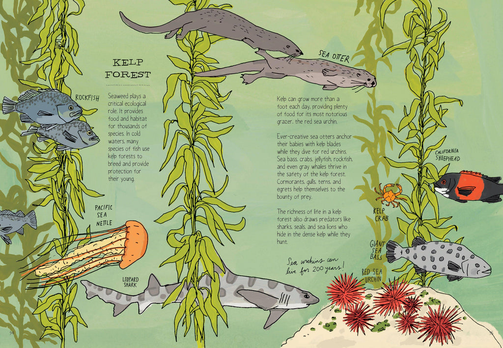 Ocean Anatomy: The Curious Parts & Pieces: Trade Paperback