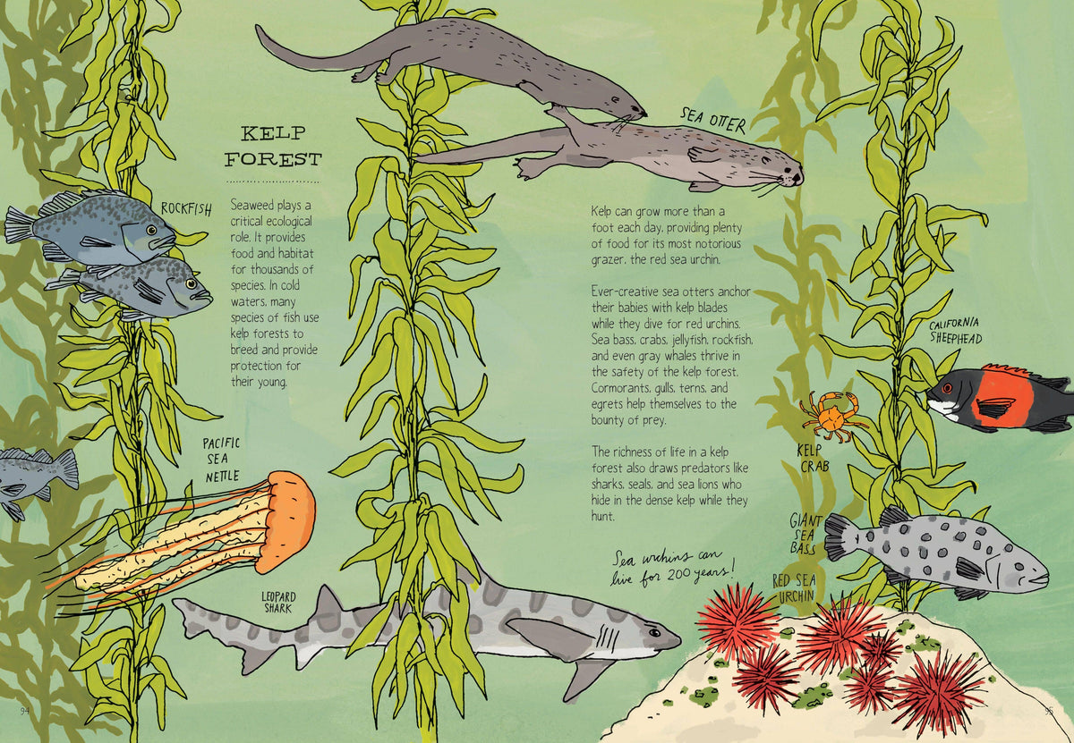 Ocean Anatomy: The Curious Parts & Pieces: Trade Paperback