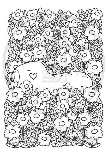 Super-Cute Capybaras: Trade Paperback