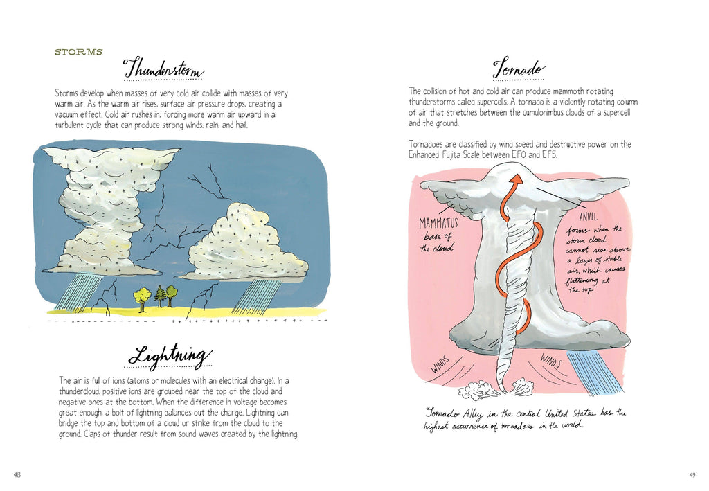 Nature Anatomy: Trade Paperback