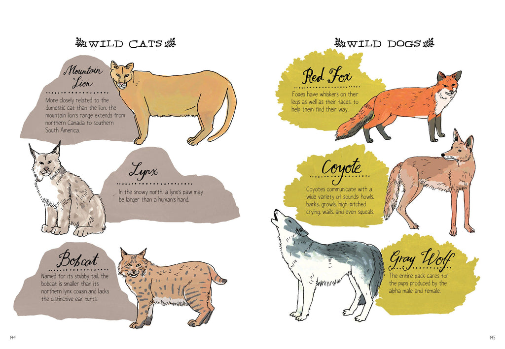 Nature Anatomy: Trade Paperback