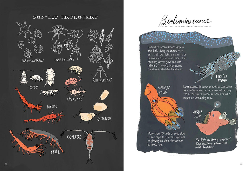 Ocean Anatomy: The Curious Parts & Pieces: Trade Paperback