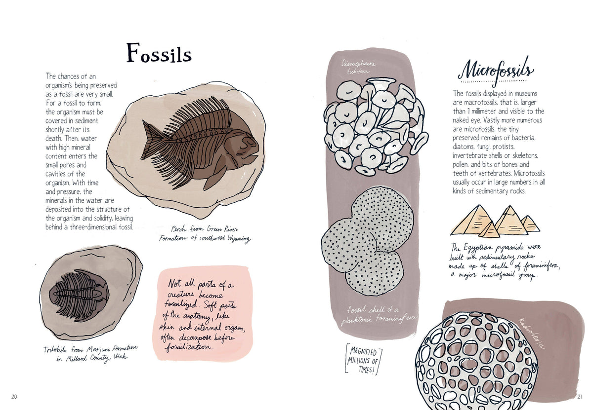 Nature Anatomy: Trade Paperback