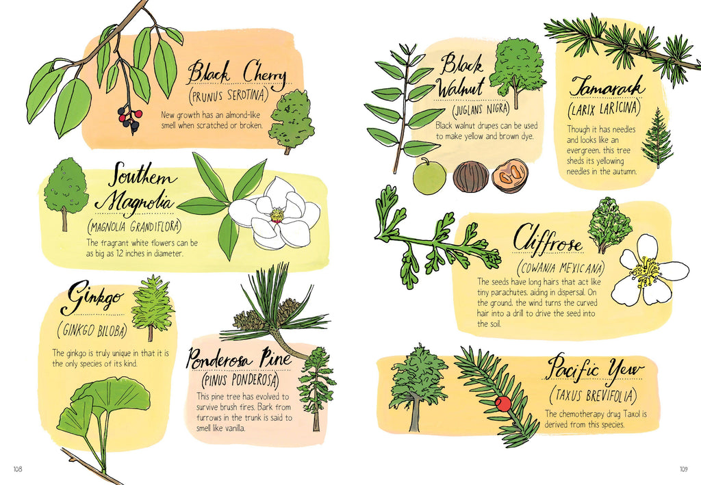 Nature Anatomy: Trade Paperback