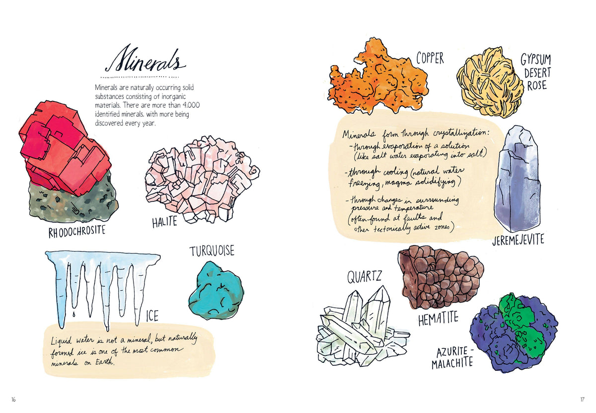 Nature Anatomy: Trade Paperback