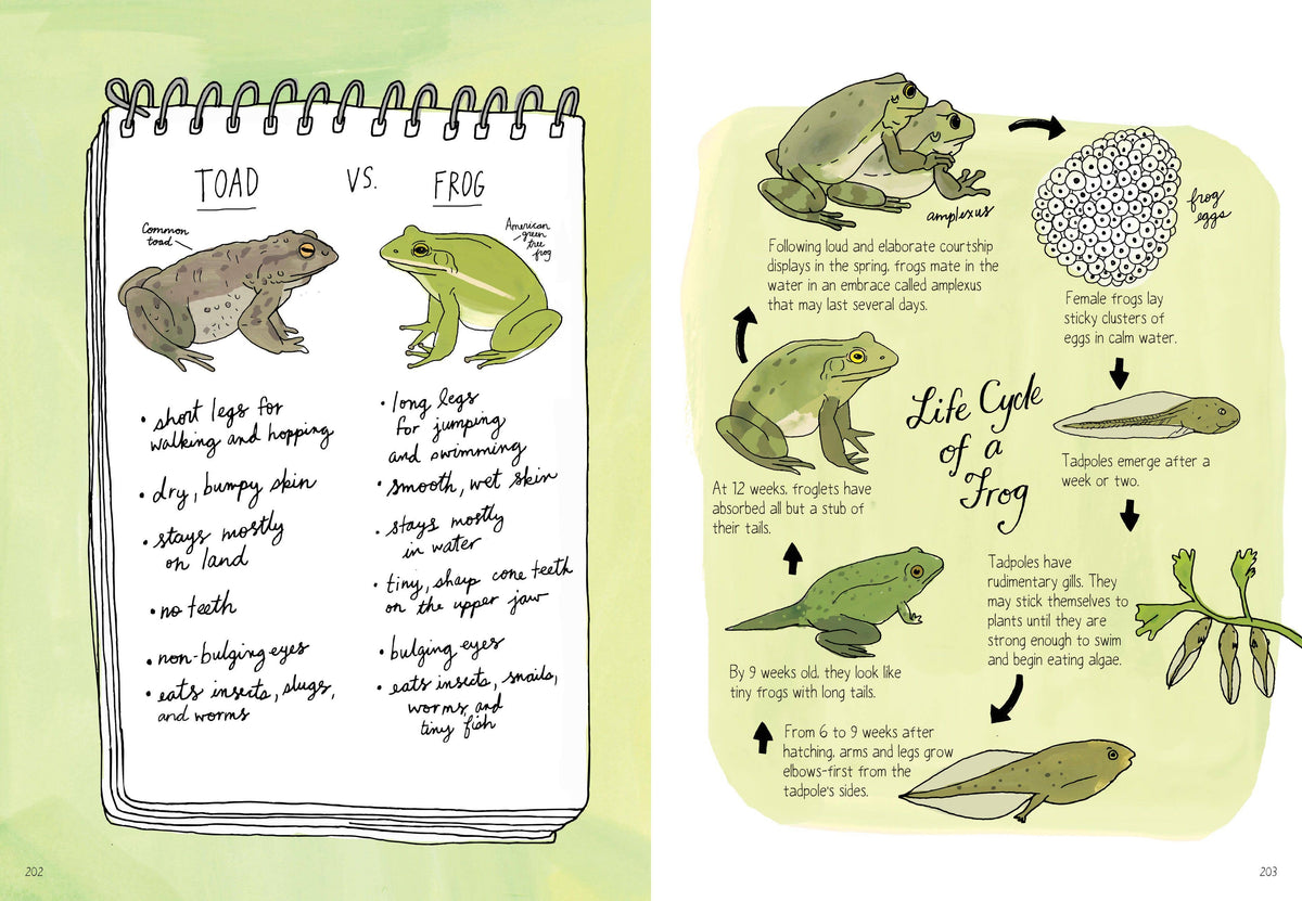Nature Anatomy: Trade Paperback