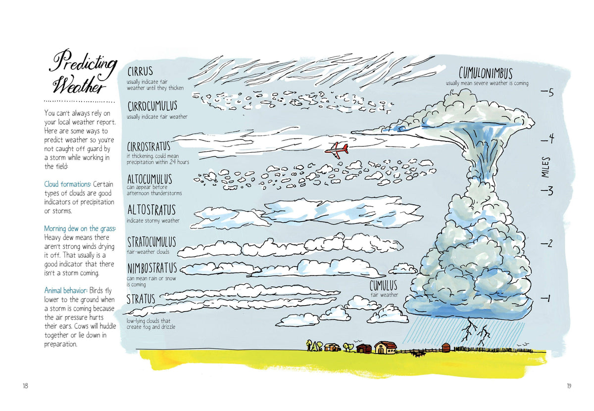 Farm Anatomy: Trade Paperback