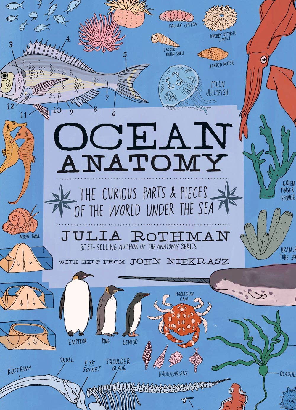 Ocean Anatomy: The Curious Parts & Pieces: Trade Paperback