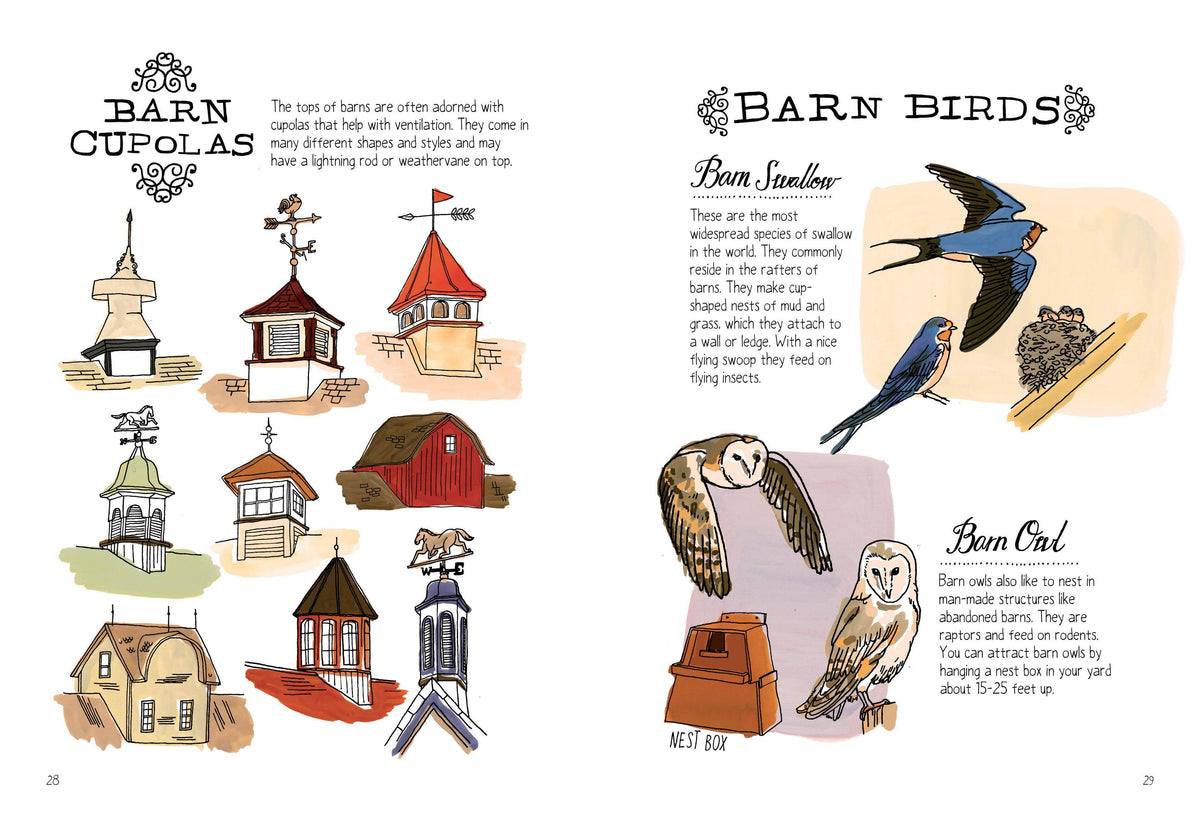 Farm Anatomy: Trade Paperback