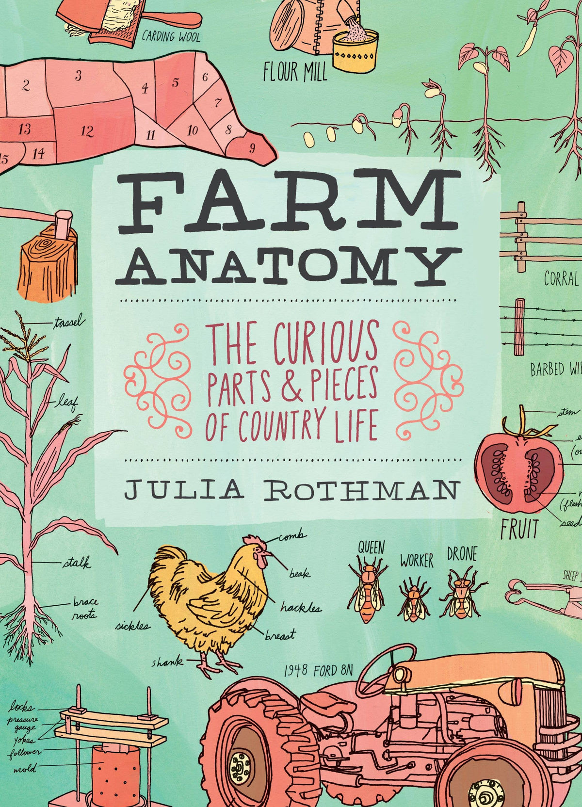Farm Anatomy: Trade Paperback
